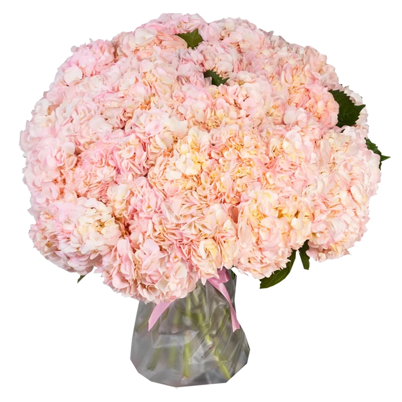 Букет из 35 розовых тюльпанов